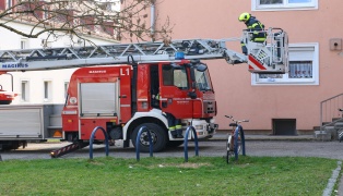Katze mittels Drehleiter der Feuerwehr von Dach eines Mehrparteienhauses in Wels-Vogelweide gerettet