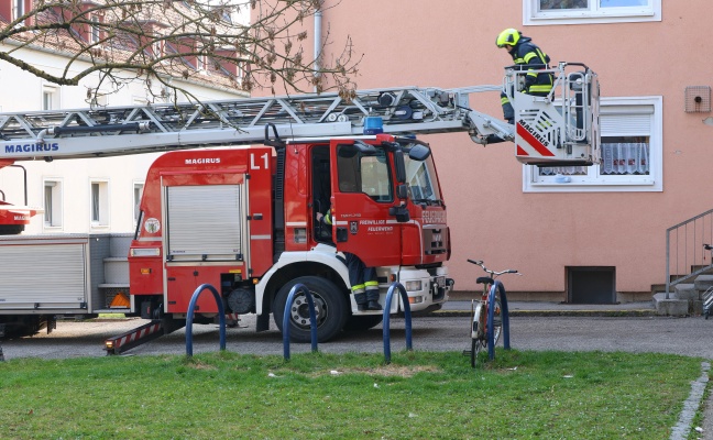 Katze mittels Drehleiter der Feuerwehr von Dach eines Mehrparteienhauses in Wels-Vogelweide gerettet