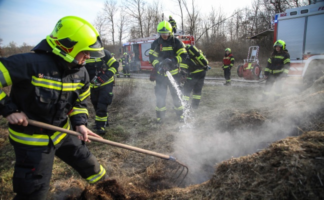 Brand eines gr��eren Grashaufens in Marchtrenk sorgte f�r Einsatz zweier Feuerwehren