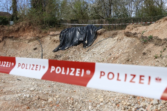Knochen bei Grabungsarbeiten auf Baustelle in Wels-Vogelweide gefunden