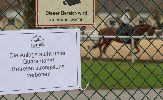 Pferdeinfluenza ausgebrochen: Anlage eines Pferdezentrums in Stadl-Paura unter Quarant�ne gestellt