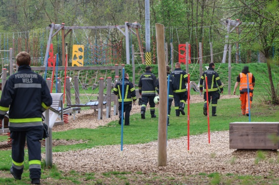 N�chterne Bilanz: Verirrte Rehe sorgten f�r zwei Eins�tze der Feuerwehr in Wels-Lichtenegg