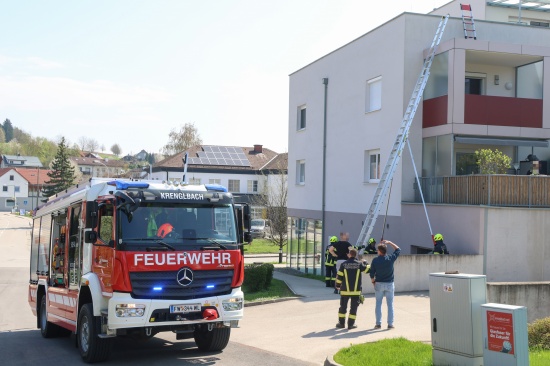 Gewagter Sprung: Katze brachte sich in Krenglbach mit Unterst�tzung der Feuerwehr in Sicherheit