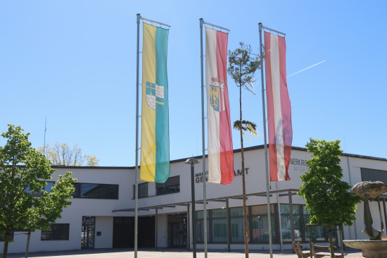 Steinerkirchen an der Traun bekam in einer Nacht-und-Nebelaktion "pr�chtigen Maibaum" geschenkt