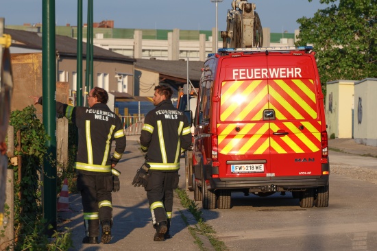 Einsatzkr�fte der Feuerwehr zu Rettung eines Rehs in Wels-Neustadt gerufen