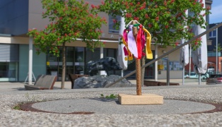 Maib�umchen: Zwei-Zentimeter-Taferl des Miniatur-Maibaums in Eberstalzell gestohlen