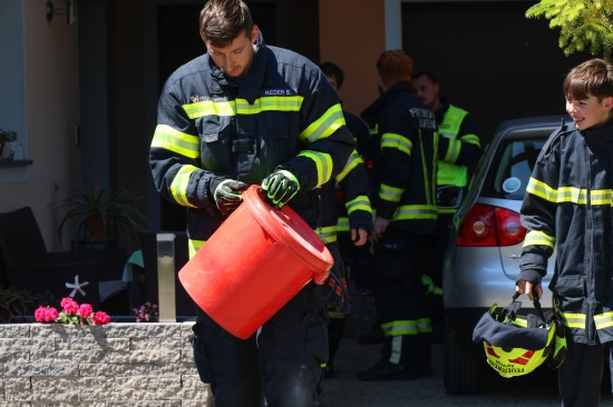 Reptilieneinsatz: Feuerwehr rettet Ringelnatter aus Keller eines Wohnhauses in Marchtrenk