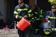 Reptilieneinsatz: Feuerwehr rettet Ringelnatter aus Keller eines Wohnhauses in Marchtrenk