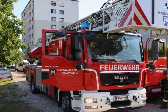 Kleinbrand an einer Fassade eines Reihenhauses in Wels-Vogelweide mittels Gartenschlauch gel�scht