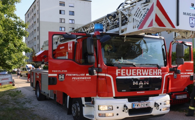 Kleinbrand an einer Fassade eines Reihenhauses in Wels-Vogelweide mittels Gartenschlauch gel�scht