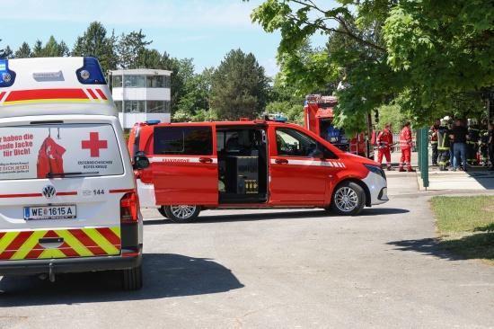 Brand bei einem Unterstand am Gel�nde einer Trabrennbahn in Wels-Lichtenegg