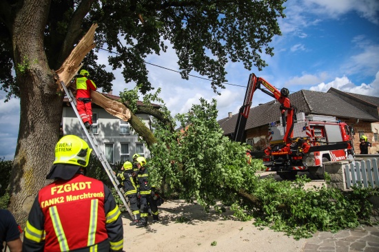 Feuerwehr im Einsatz: �ste eines gro�en Baumes in Marchtrenk durch Baufahrzeug besch�digt