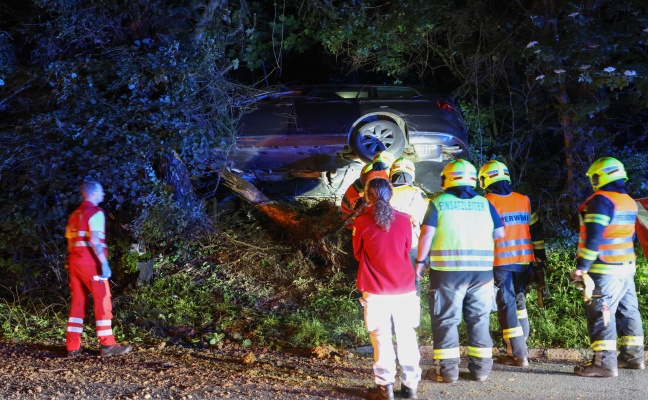 Auto steckte nach schwerem Verkehrsunfall bei Wei�kirchen an der Traun regelrecht in Waldb�schung