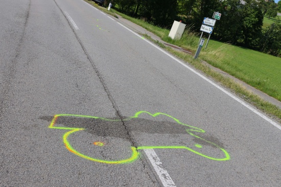 Schwerer Crash zwischen Motorrad und PKW in Andrichsfurt