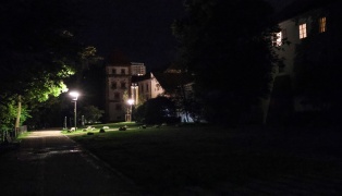 "Miau": Feuerwehr und Polizei bei vermeintlicher Katzenrettung in Wels-Innenstadt im Einsatz