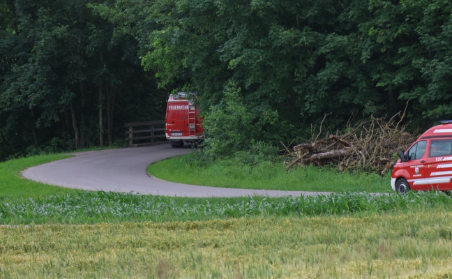 Personenrettung nach schwerem Forstunfall in einem Waldst�ck bei Meggenhofen