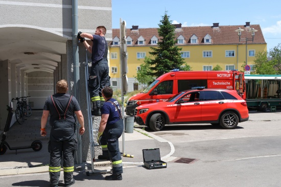 Runtergerutscht: Feuerwehr befreite Taube aus Dachrinne eines Geb�udes in Wels-Vogelweide