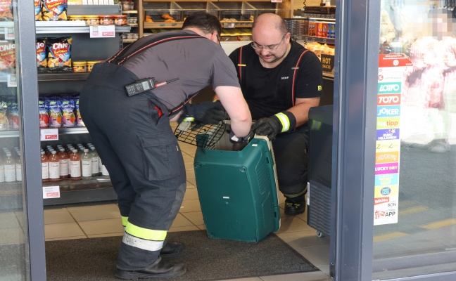 Marder durch Einsatzkr�fte der Feuerwehr aus Tankstellenshop in Wels-Waidhausen gerettet