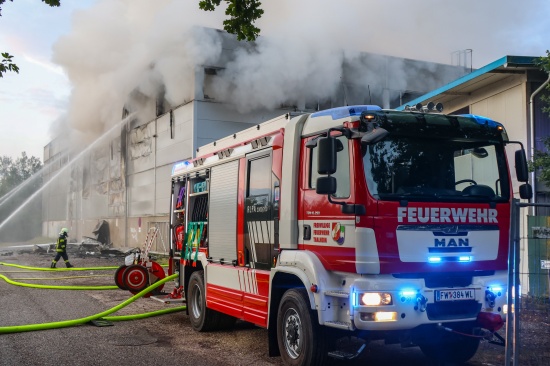 Firmenhalle in Vollbrand: F�nf Feuerwehren bei Entsorgungsbetrieb in Wels-Schafwiesen im Gro�einsatz