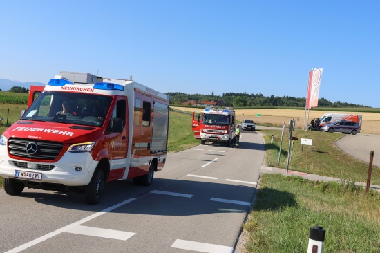 Schafbock gesichtet: Feuerwehr und Polizei zu entlaufenem Tier nach Neukirchen bei Lambach alarmiert