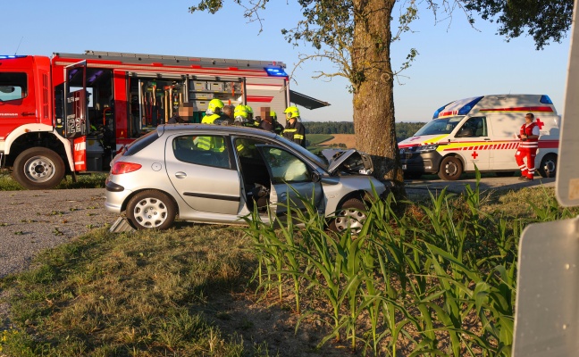 T�dlicher Verkehrsunfall: Auto in Schl��lberg frontal gegen Obstbaum gekracht