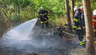 Brand eines Mulchers in einem Waldst�ck in Buchkirchen sorgte f�r Einsatz zweier Feuerwehren