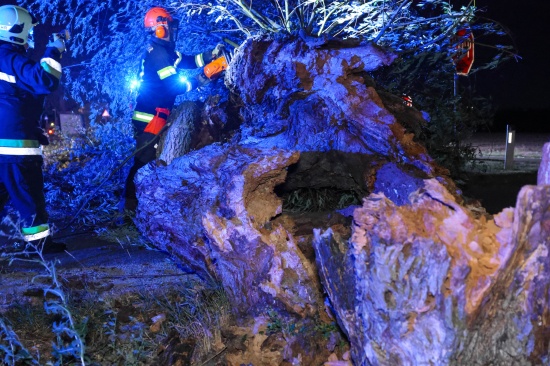 Unwettereins�tze: Gewitterfront sorgte f�r zahlreiche Eins�tze in Ober�sterreich