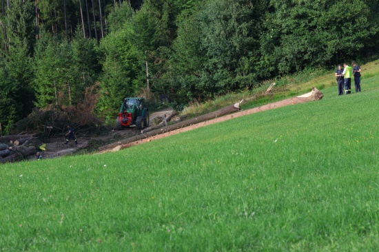 T�dlicher Forstunfall in einem h�hergelegenen Waldst�ck in Vorderstoder
