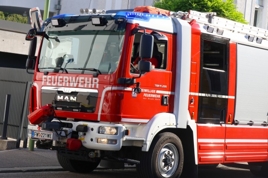 Baum droht umzust�rzen: Feuerwehr bei Sicherungseinsatz in Wels-Innenstadt im Einsatz