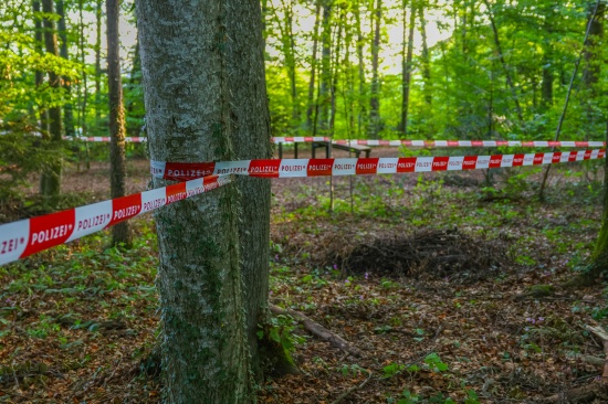 Mordalarm in V�cklabruck: Frau (53) mit Stichverletzungen in einem Waldst�ck an der Ager aufgefunden