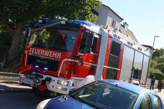 Brand einer Thujenhecke in einem Garten in Wels-Pernau rasch gel�scht