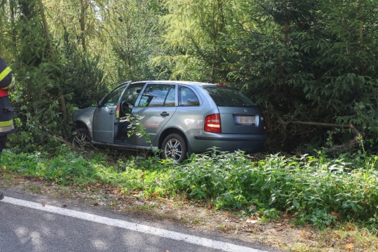 Auto bei Verkehrsunfall in Waizenkirchen in Zaun beziehungsweise Jungwald gelandet