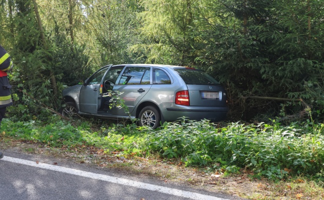 Auto bei Verkehrsunfall in Waizenkirchen in Zaun beziehungsweise Jungwald gelandet