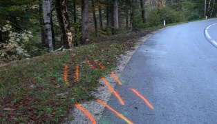 T�dlicher Verkehrsunfall: Beifahrer (29) starb bei Crash gegen Baum in Ebensee am Traunsee