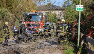 Umgest�rzter Baum f�hrte zu Einsatz der Feuerwehr in Wels-Waidhausen