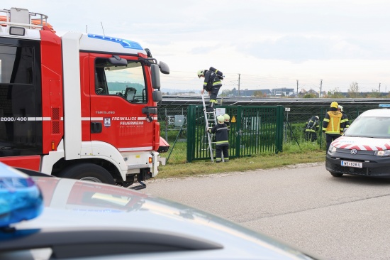 Brand auf dem Gel�nde einer gro�en Photovoltaikanlage in Wels-Vogelweide