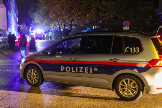 Feuerwehr l�scht Containerbrand: Gro�aufgebot der Polizei in Welser Problemsiedlungen im Einsatz
